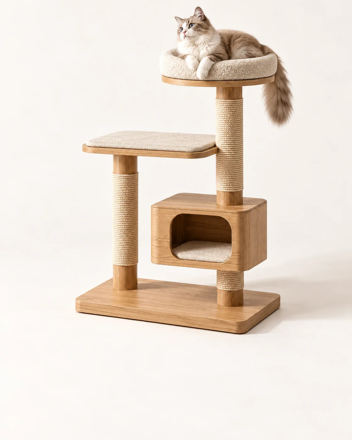 Cat Furniture & Play